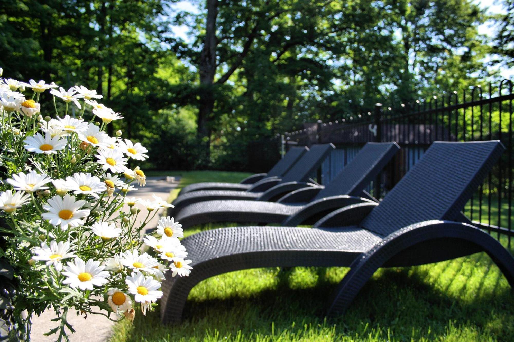 Domaine Jolivent Hotell Lac-Brome Eksteriør bilde